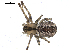  ( - BIOUG00511-A01)  @13 [ ] CC-0  G. Blagoev 2010 Unspecified