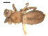  ( - BIOUG00511-B12)  @12 [ ] CC-0  G. Blagoev 2010 Unspecified