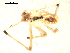  ( - BIOUG00511-H11)  @12 [ ] CC-0  G. Blagoev 2010 Unspecified