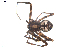  ( - BIOUG00512-B04)  @12 [ ] CC-0  G. Blagoev 2010 Unspecified