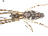  ( - BIOUG00512-G10)  @13 [ ] CC-0  G. Blagoev 2010 Unspecified