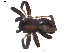 ( - BIOUG00512-H09)  @13 [ ] CC-0  G. Blagoev 2010 Unspecified