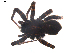  ( - BIOUG00513-A02)  @12 [ ] CC-0  G. Blagoev 2010 Unspecified