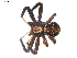  ( - BIOUG00513-C09)  @13 [ ] CC-0  G. Blagoev 2010 Unspecified