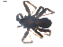  ( - BIOUG00513-D06)  @12 [ ] CC-0  G. Blagoev 2010 Unspecified