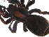  ( - BIOUG00513-E07)  @12 [ ] CC-0  G. Blagoev 2010 Unspecified