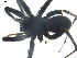 ( - BIOUG00513-H11)  @12 [ ] CC-0  G. Blagoev 2010 Unspecified