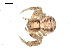  ( - BIOUG00514-A07)  @13 [ ] CC-0  G. Blagoev 2010 Unspecified