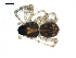  ( - BIOUG00514-E05)  @12 [ ] CC-0  G. Blagoev 2010 Unspecified