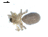  ( - BIOUG00514-H06)  @12 [ ] CC-0  G. Blagoev 2010 Unspecified