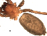  ( - BIOUG00516-F04)  @12 [ ] CC-0  G. Blagoev 2010 Unspecified