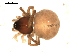  ( - BIOUG00516-G01)  @12 [ ] CC-0  G. Blagoev 2010 Unspecified