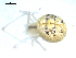  ( - BIOUG00517-D02)  @12 [ ] CC-0  G. Blagoev 2010 Unspecified