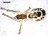  ( - BIOUG00518-G09)  @13 [ ] CC-0  G. Blagoev 2010 Unspecified