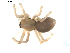  ( - BIOUG00520-A05)  @13 [ ] CC-0  G. Blagoev 2010 Unspecified