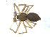  ( - BIOUG00520-B07)  @13 [ ] CC-0  G. Blagoev 2010 Unspecified