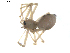  ( - BIOUG00520-B12)  @13 [ ] CC-0  G. Blagoev 2010 Unspecified