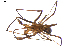  ( - BIOUG00521-E07)  @13 [ ] CC-0  G. Blagoev 2010 Unspecified