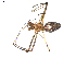  ( - BIOUG00521-E10)  @13 [ ] CC-0  G. Blagoev 2010 Unspecified