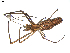  ( - BIOUG00521-F09)  @13 [ ] CC-0  G. Blagoev 2010 Unspecified