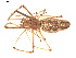  ( - BIOUG00524-G09)  @13 [ ] CC-0  G. Blagoev 2010 Unspecified