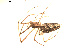  ( - BIOUG00524-H03)  @13 [ ] CC-0  G. Blagoev 2010 Unspecified