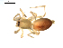  ( - BIOUG00530-E11)  @12 [ ] CC-0  G. Blagoev 2010 Unspecified