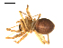  ( - BIOUG00612-H06)  @13 [ ] CC-0  G. Blagoev 2010 Unspecified