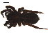  ( - 09PROBE-1678-04)  @12 [ ] CreativeCommons - Attribution (2009) Gergin Blagoev, Centre for Biodiversity Genomics Centre for Biodiversity Genomics