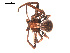  ( - 09PROBE-1791-01)  @13 [ ] CreativeCommons - Attribution (2009) Gergin Blagoev, Centre for Biodiversity Genomics Centre for Biodiversity Genomics