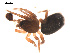  ( - 09PROBE-1831-01)  @12 [ ] CreativeCommons - Attribution (2009) Gergin Blagoev, Centre for Biodiversity Genomics Centre for Biodiversity Genomics