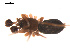  ( - 09PROBE-1841-01)  @12 [ ] CreativeCommons - Attribution (2009) Gergin Blagoev, Centre for Biodiversity Genomics Centre for Biodiversity Genomics