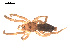  ( - 09PROBE-1971-01)  @12 [ ] CreativeCommons - Attribution (2009) Gergin Blagoev, Centre for Biodiversity Genomics Centre for Biodiversity Genomics