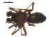  ( - 09PROBE-1973-01)  @12 [ ] CreativeCommons - Attribution (2009) Gergin Blagoev, Centre for Biodiversity Genomics Centre for Biodiversity Genomics