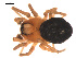 ( - 09PROBE-1978-07)  @13 [ ] CreativeCommons - Attribution (2010) Unspecified Centre for Biodiversity Genomics