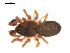  ( - 09PROBE-1978-206)  @12 [ ] CreativeCommons - Attribution (2009) Gergin Blagoev, Centre for Biodiversity Genomics Centre for Biodiversity Genomics
