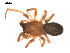  ( - 09PROBE-1978-217)  @12 [ ] CreativeCommons - Attribution (2009) Gergin Blagoev, Centre for Biodiversity Genomics Centre for Biodiversity Genomics