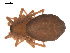  ( - 09PROBE-1978-501)  @13 [ ] CreativeCommons - Attribution (2009) Gergin Blagoev, Centre for Biodiversity Genomics Centre for Biodiversity Genomics