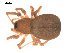  ( - 09PROBE-653)  @13 [ ] CreativeCommons - Attribution (2009) Gergin Blagoev, Centre for Biodiversity Genomics Centre for Biodiversity Genomics