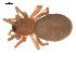  ( - 09PROBE-654)  @13 [ ] CreativeCommons - Attribution (2009) Gergin Blagoev, Centre for Biodiversity Genomics Centre for Biodiversity Genomics