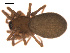  ( - 09PROBE-684)  @12 [ ] CreativeCommons - Attribution (2009) Gergin Blagoev, Centre for Biodiversity Genomics Centre for Biodiversity Genomics