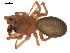  ( - 09PROBE-726)  @12 [ ] CreativeCommons - Attribution (2009) Gergin Blagoev, Centre for Biodiversity Genomics Centre for Biodiversity Genomics