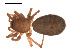  ( - 09PROBE-727)  @12 [ ] CreativeCommons - Attribution (2009) Gergin Blagoev, Centre for Biodiversity Genomics Centre for Biodiversity Genomics