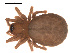  ( - 09PROBE-728)  @12 [ ] CreativeCommons - Attribution (2009) Gergin Blagoev, Centre for Biodiversity Genomics Centre for Biodiversity Genomics