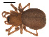  ( - 09PROBE-729)  @12 [ ] CreativeCommons - Attribution (2009) Gergin Blagoev, Centre for Biodiversity Genomics Centre for Biodiversity Genomics