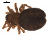  ( - 09PROBE-730)  @12 [ ] CreativeCommons - Attribution (2009) Gergin Blagoev, Centre for Biodiversity Genomics Centre for Biodiversity Genomics