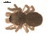  ( - 09PROBE-748)  @13 [ ] CreativeCommons - Attribution (2009) Gergin Blagoev, Centre for Biodiversity Genomics Centre for Biodiversity Genomics