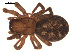  ( - 09PROBE-755)  @13 [ ] CreativeCommons - Attribution (2009) Gergin Blagoev, Centre for Biodiversity Genomics Centre for Biodiversity Genomics
