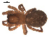  ( - 09PROBE-756)  @13 [ ] CreativeCommons - Attribution (2009) Gergin Blagoev, Centre for Biodiversity Genomics Centre for Biodiversity Genomics