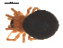  ( - 09PROBE-872)  @12 [ ] CreativeCommons - Attribution (2009) Gergin Blagoev, Centre for Biodiversity Genomics Centre for Biodiversity Genomics